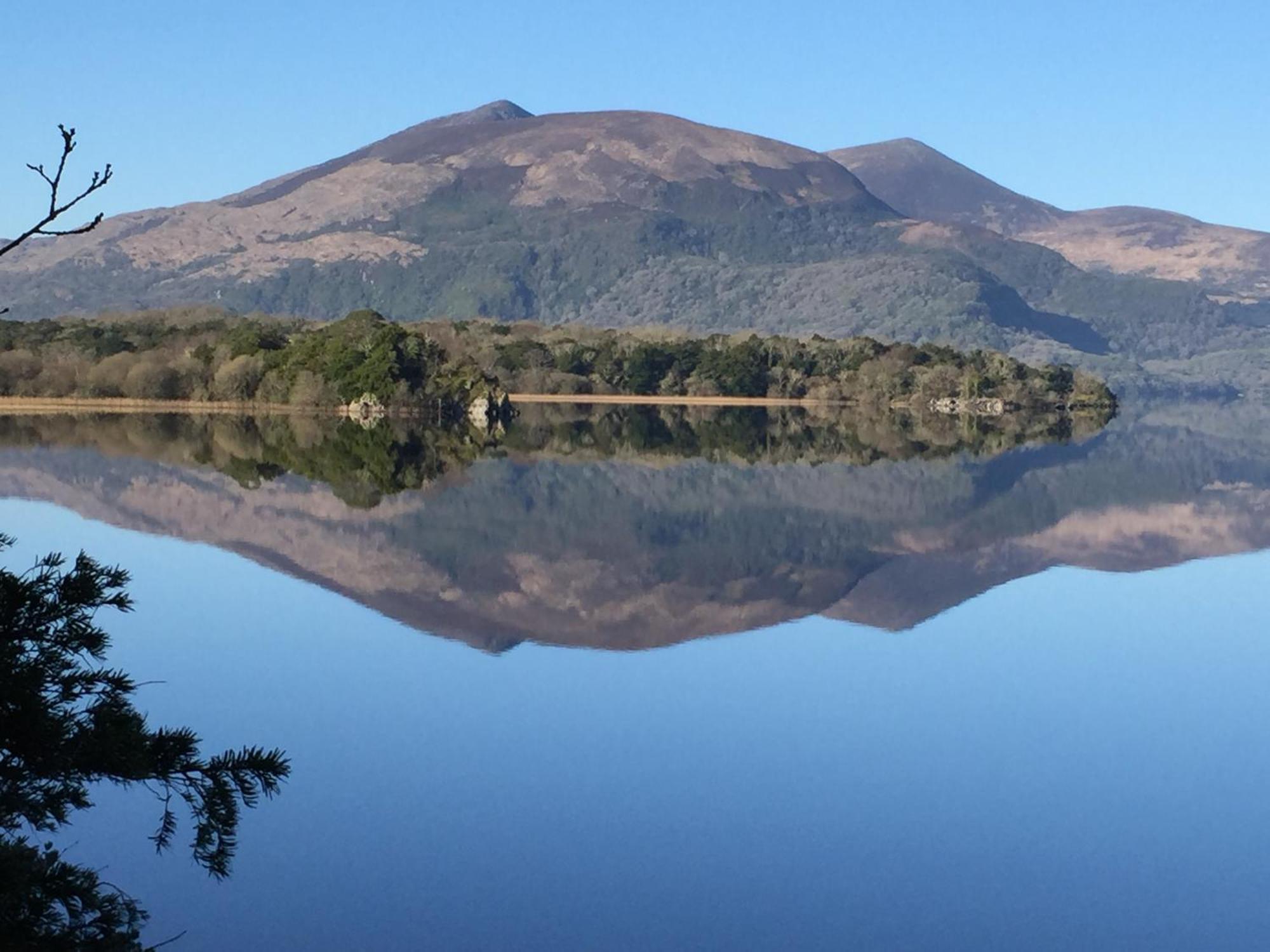 Kerry Holiday Homes At The Killarney Holiday Village Bagian luar foto