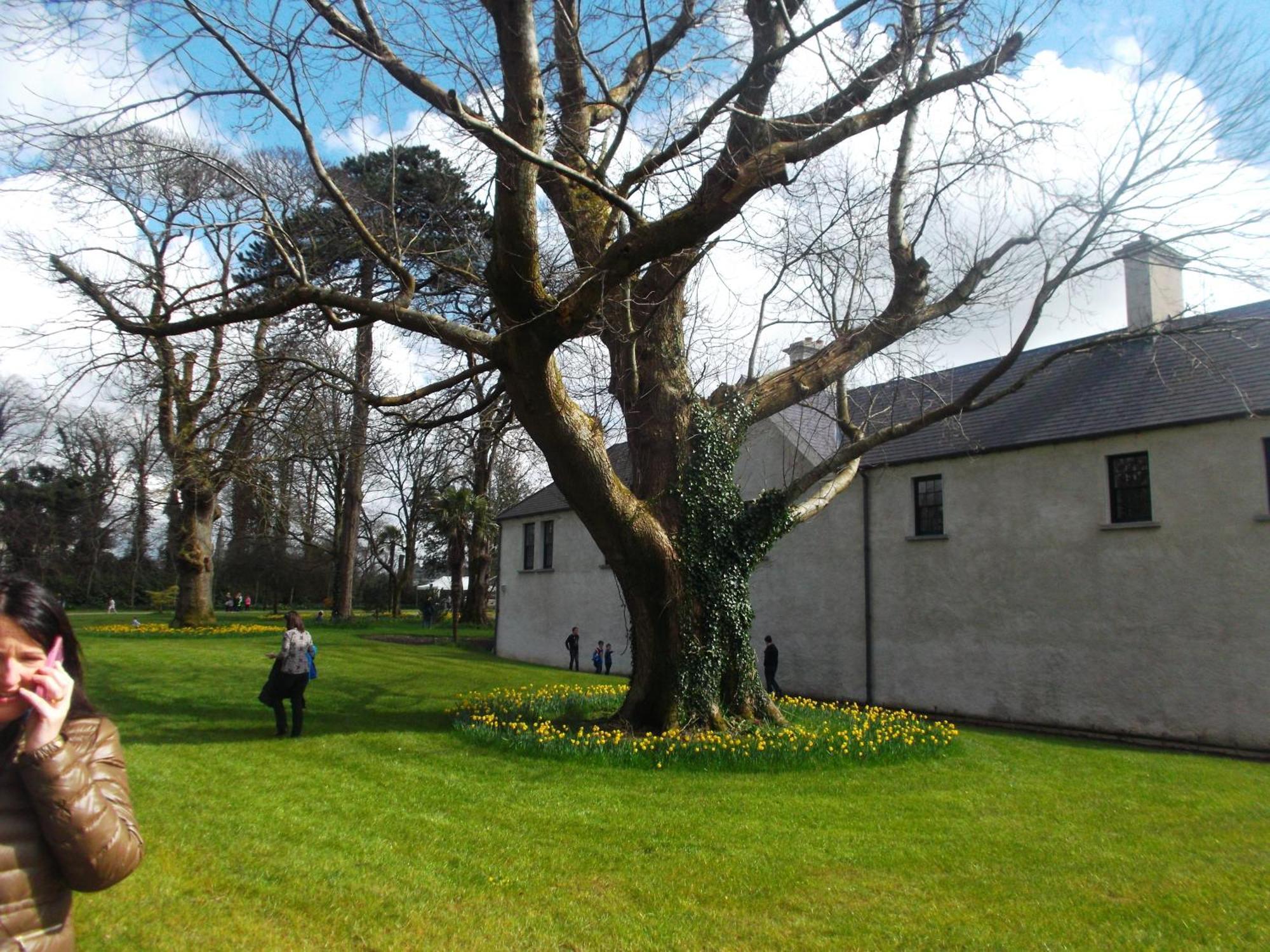 Kerry Holiday Homes At The Killarney Holiday Village Bagian luar foto