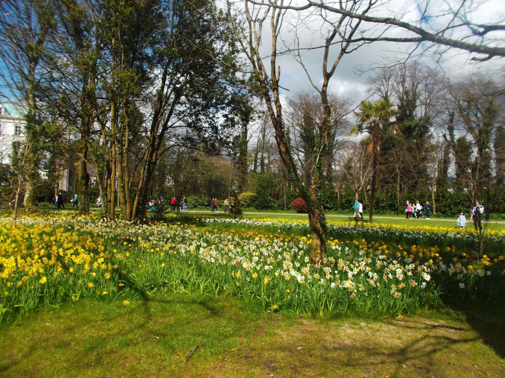 Kerry Holiday Homes At The Killarney Holiday Village Bagian luar foto